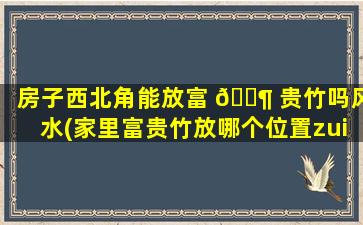 房子西北角能放富 🐶 贵竹吗风水(家里富贵竹放哪个位置zui
合适)